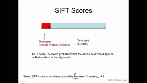 how hard is the sift test|can i take the sift twice.